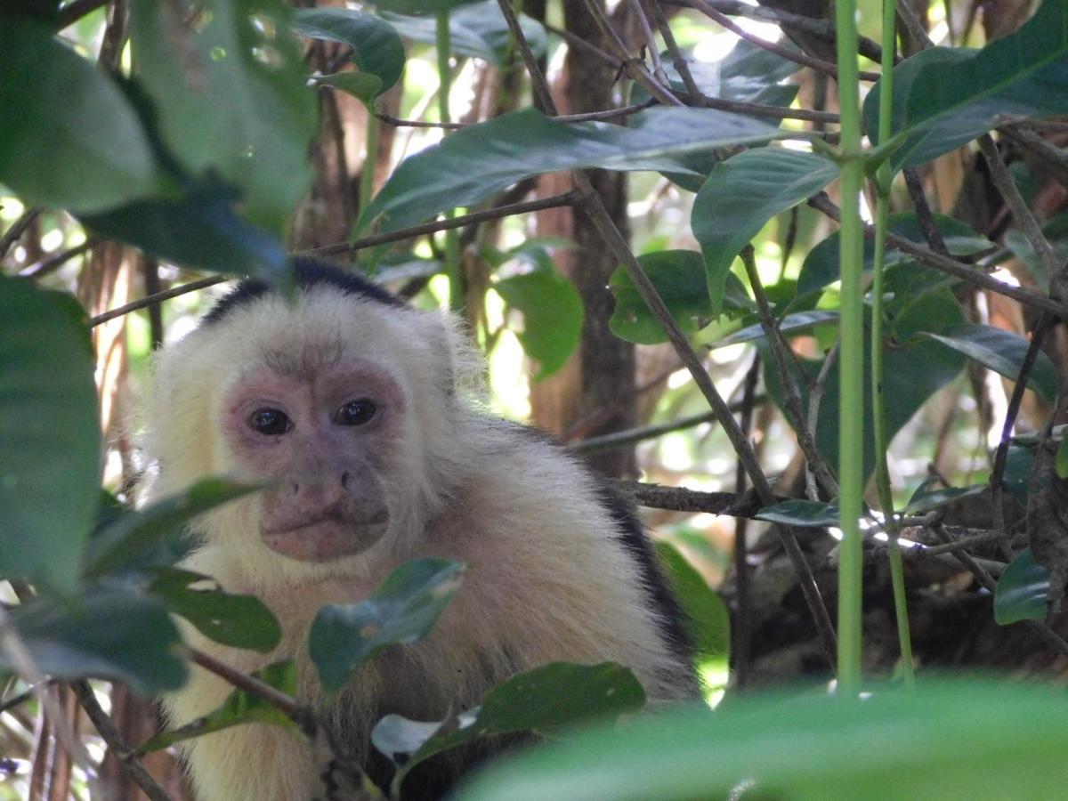 Guayabo Lodge Santa Cruz  ภายนอก รูปภาพ